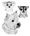 Angel, Precious & Gidget