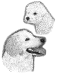 Riley & Murphy