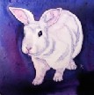 Somebunny's Here - Snoopy