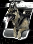 k9ronin