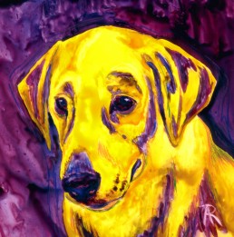 Yellow! Lab