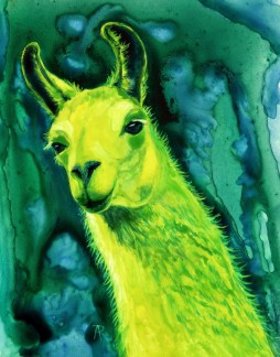 Llemon-Llime Llama