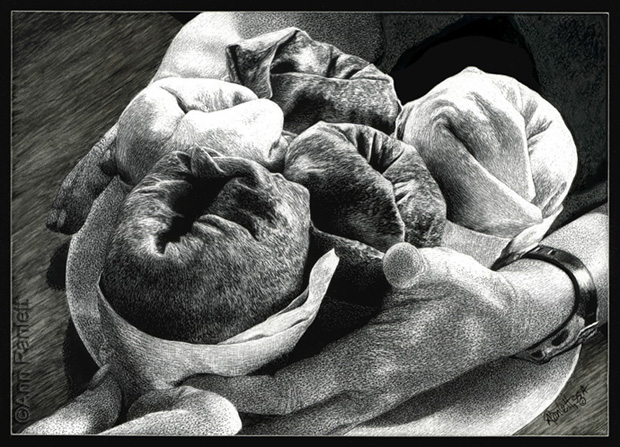 Cathy's Burrito Bouquet - scratchboard by Ann Ranlett