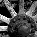 A Greyscale Posterized Version of the Wheel