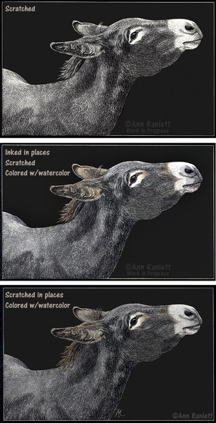 This image shows the previous 3 images together. Ranlett - Got Carrots - 3 stages.jpg