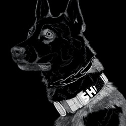 K9 Yukon