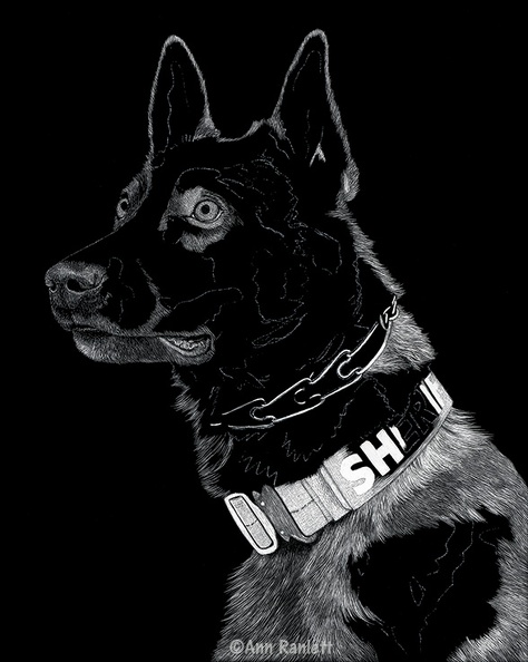 K9 Yukon - #1