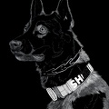 K9 Yukon - #1