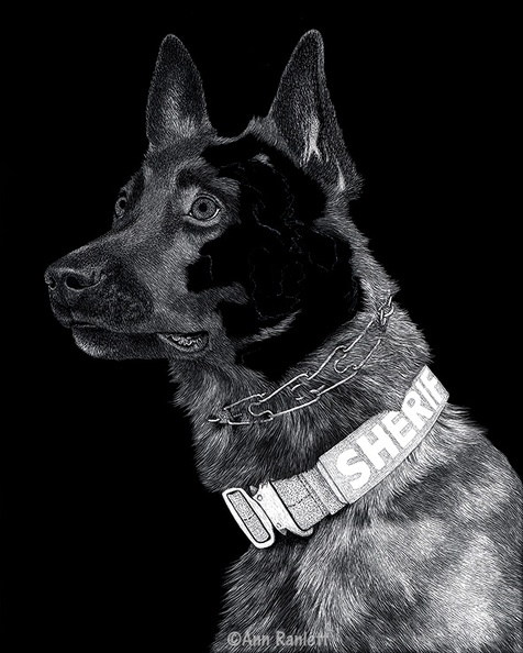 K9 Yukon - #1