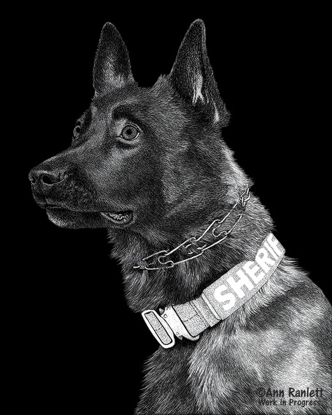 K9 Yukon - #3