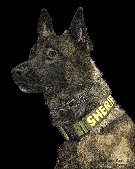 K9 Yukon - #4