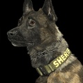 K9 Yukon - #4