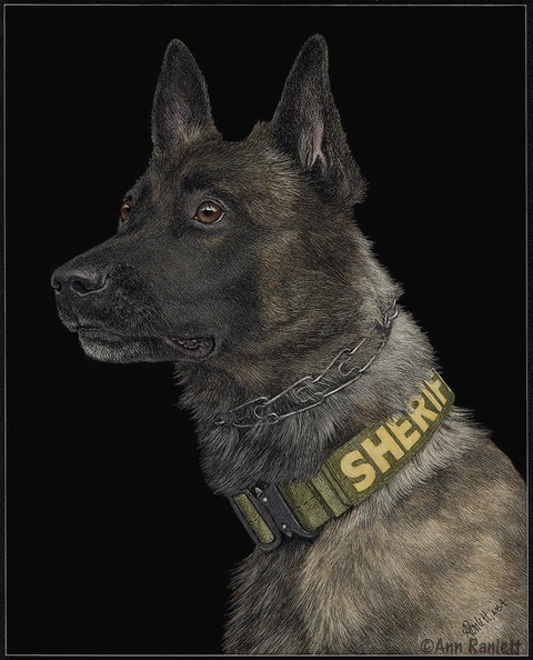 K9 Yukon - Final