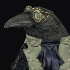 Steampunk Trickster, Raven