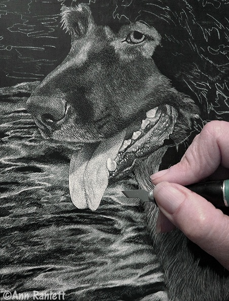This is a cell phone photo I took during the scratching process. It fits in between Stages 1 & 2 of the scanned images. 2017-12-27 22.35.39 upload.jpg