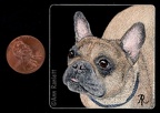 Mini Scratchboards