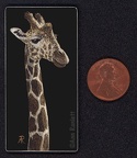 giraffe