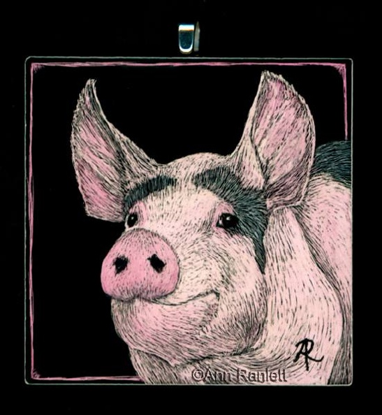 Pig