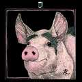 Pig