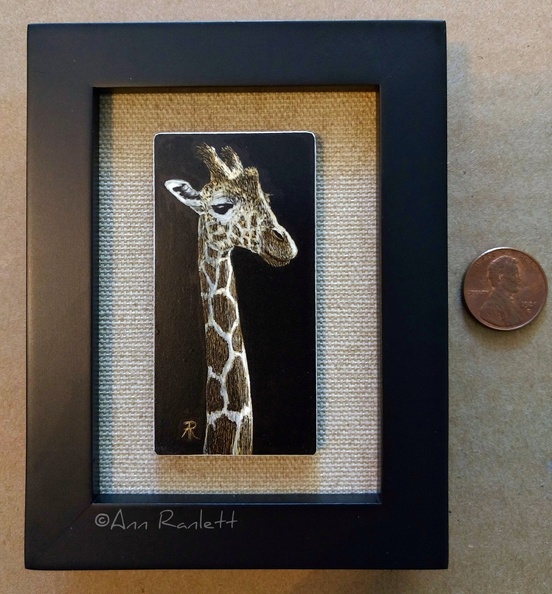 giraffeframed.jpg