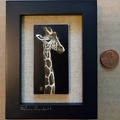 Giraffe - Framed