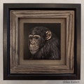 Ranlett Chimp1.jpg