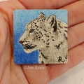 SnowLeopard-upload.jpg