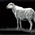 Eye See Ewe (diptych)