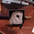 Barn Owl - Minature