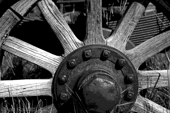 A Greyscale Posterized Version of the Wheel