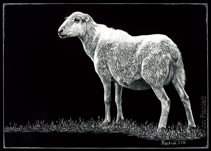 Eye See Ewe (diptych)