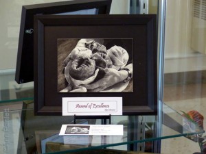 Cathy's Burrito Bouquet in the display case